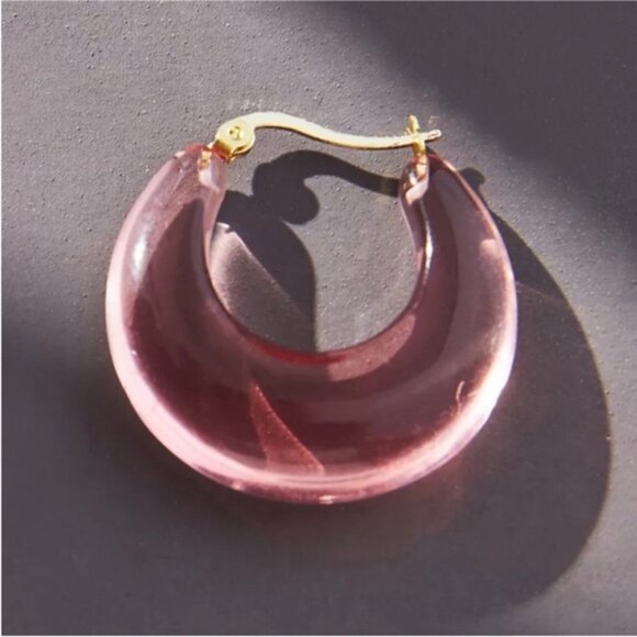 New! Anthropologie Plum Resin Hoop Earrings NWOT - Picture 2 of 2